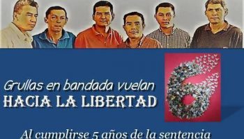 Los_6