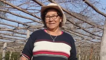 ña cefe guerrero