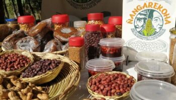 537027201_17846516928551252_4334335455197769457_n 537027201_17846516928551252_4334335455197769457_n