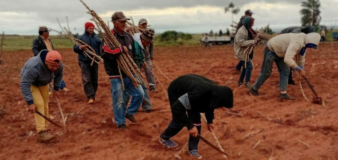 coordinadora sin tierras del norte