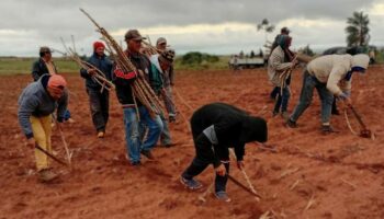 coordinadora sin tierras del norte