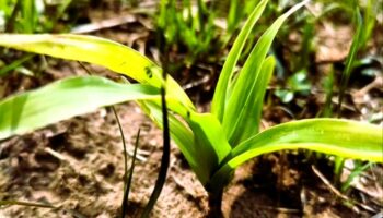 490513368_1054515093379479_6364340999482688745_n